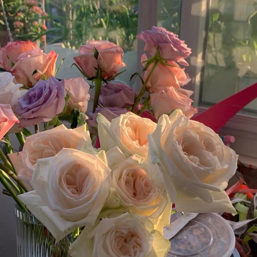 图卿918封面背景图