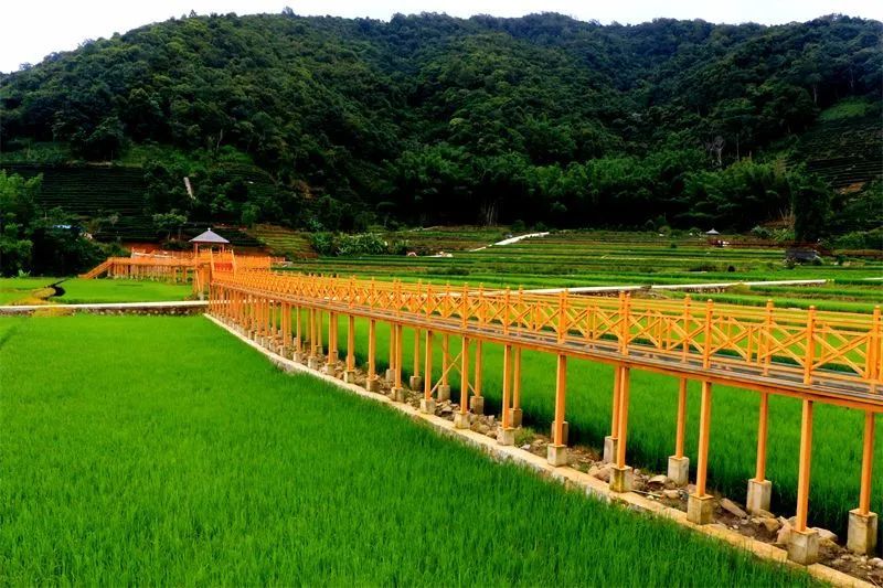 玩场孟连贺哈美在哪