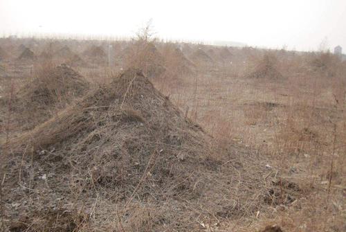 农村殡葬改革,坟地将进行清理?这是真的吗?看完有答案了