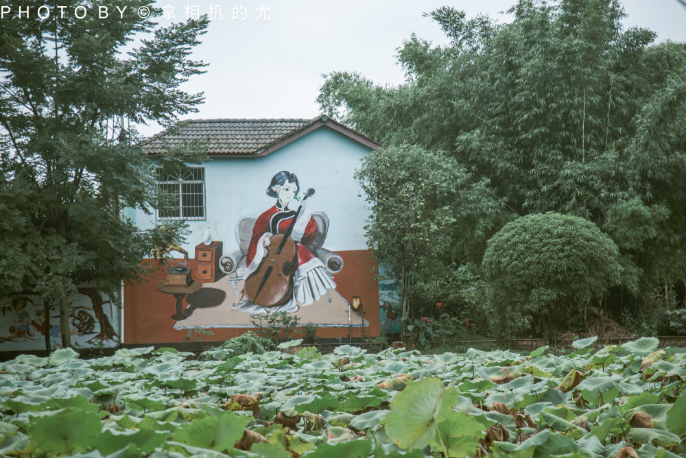 四川綿竹的年畫村川西風格民居中傳承著國家級非物質文化遺產