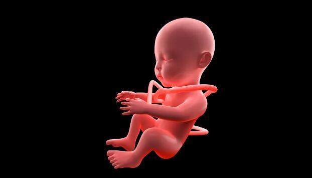 怀孕8个月,好好的胎儿突然停育,或许是它引起的,孕妈要多预防