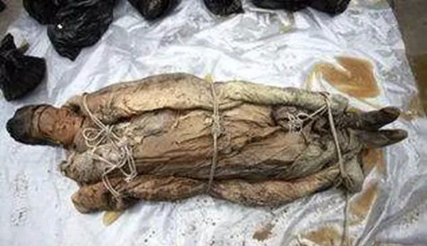 关羽墓出土的文物除青龙偃月刀外还有两美女