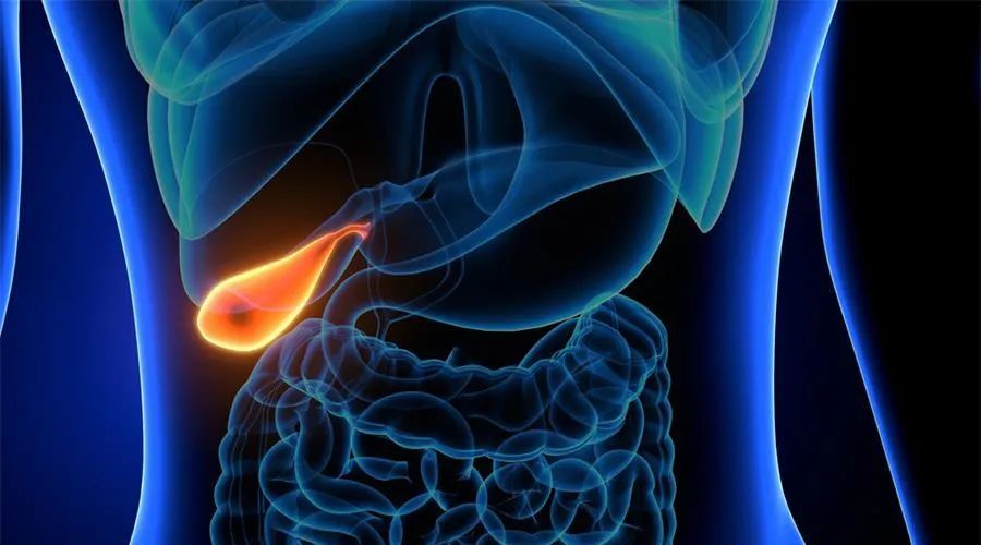 恶心呕吐腹痛别把胆囊结石当成胃病