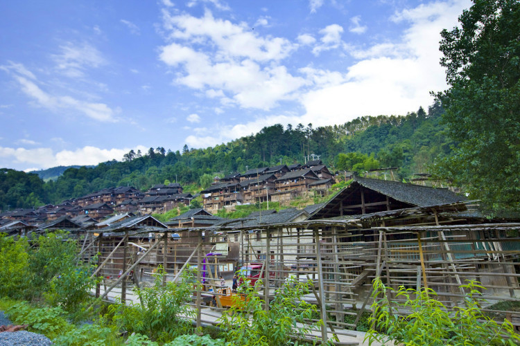贵州一村落,因寨规几百年来不外娶外嫁,世代保守换花草的秘密
