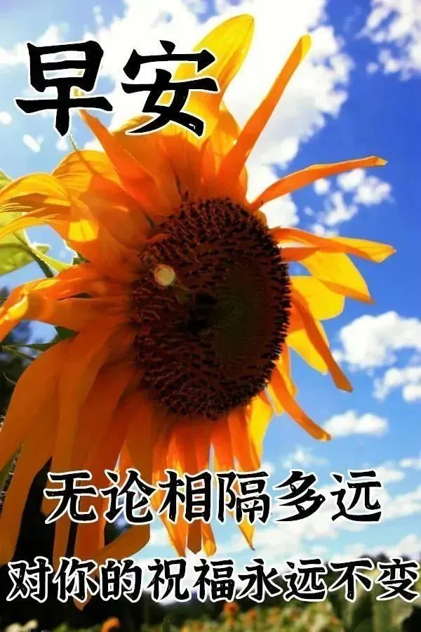 早晨群發給大家早上好表情圖片,早安問候語溫馨短句配圖_騰訊新聞