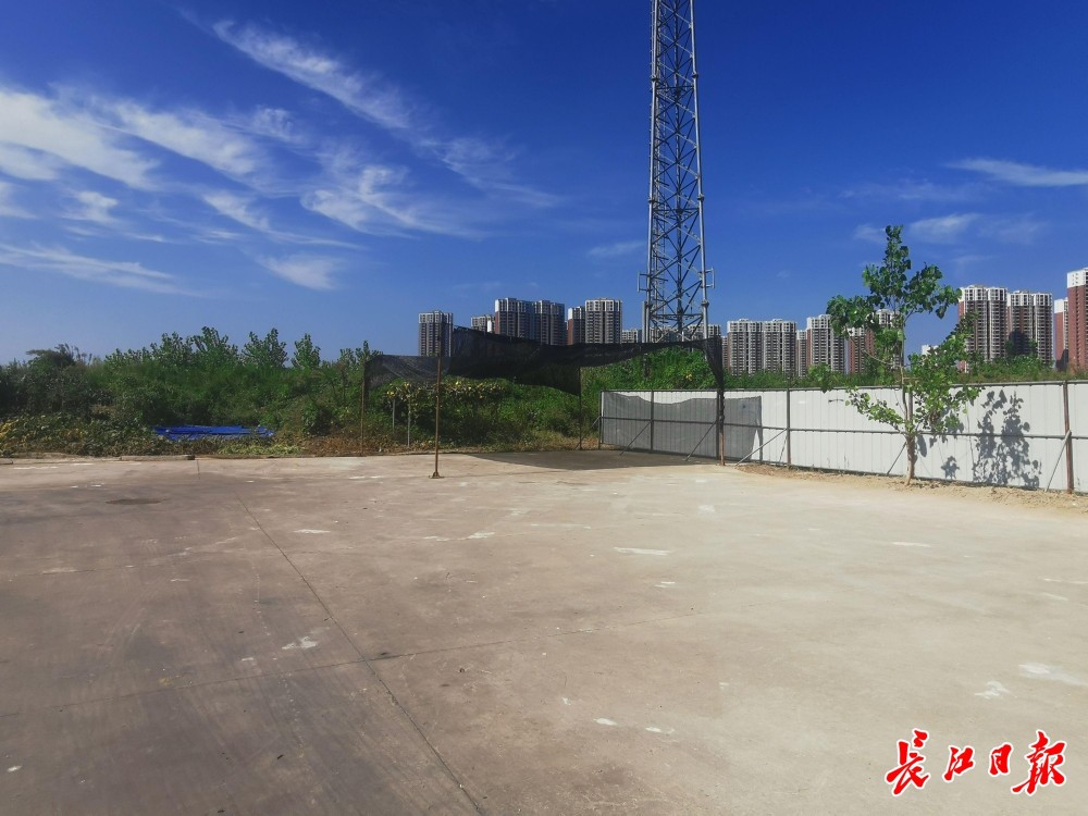 走马岭街道兴工十二路与联盟路交会处垃圾转运点已停运.