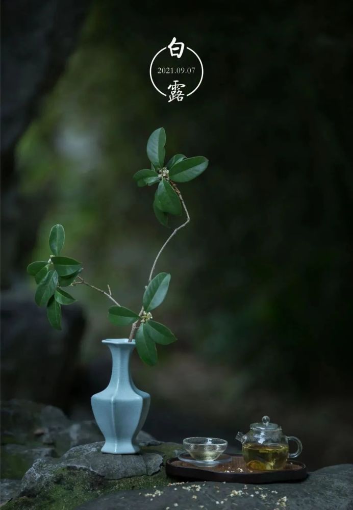 园林梦话闻木樨香