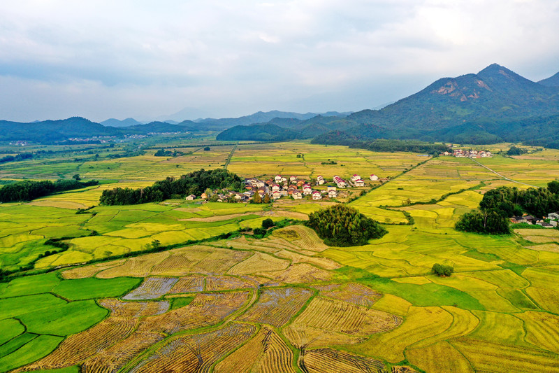 绿水逶迤的前一句_绿水逶迤_绿水逶迤怎么读