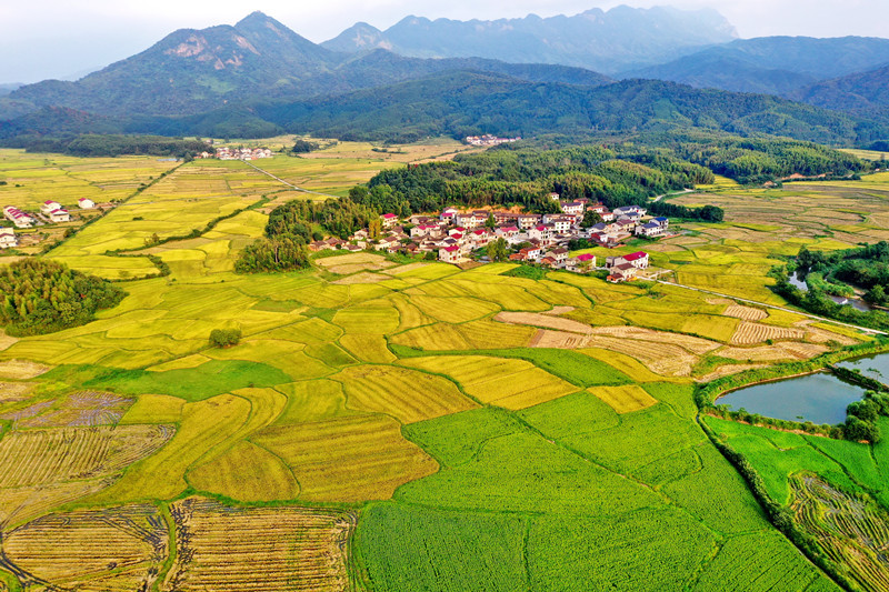 组图:秋日田园 丰收画卷