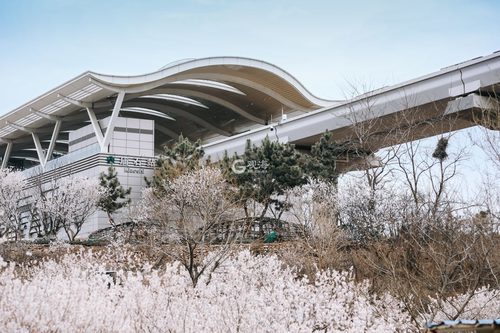 七千多萬網友關注青島地鐵11號線美景登上微博熱搜