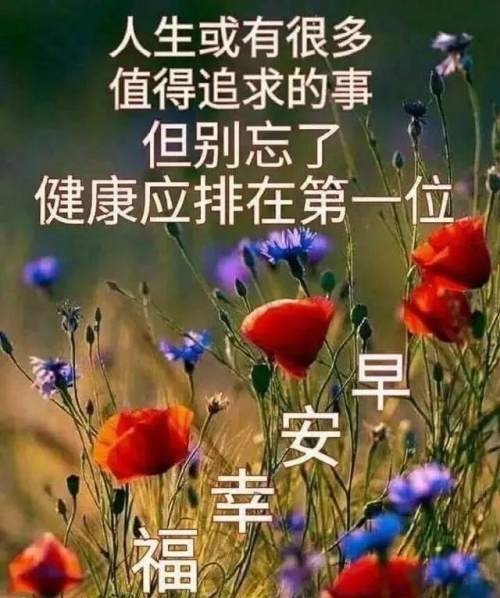 微信问候朋友早上好温馨祝福语句最新早上好动态唯美问候图片