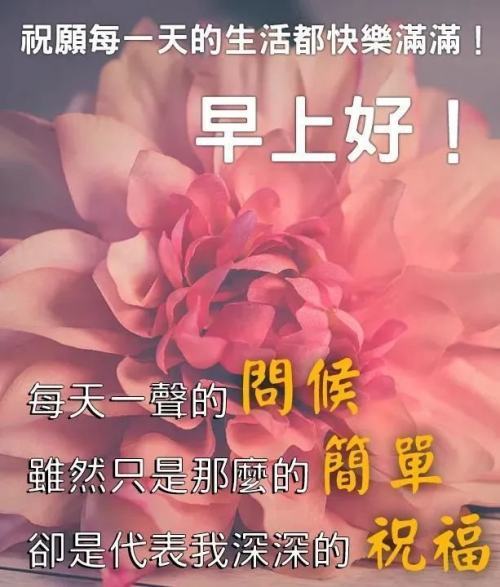 微信問候朋友早上好溫馨祝福語句最新早上好動態唯美問候圖片