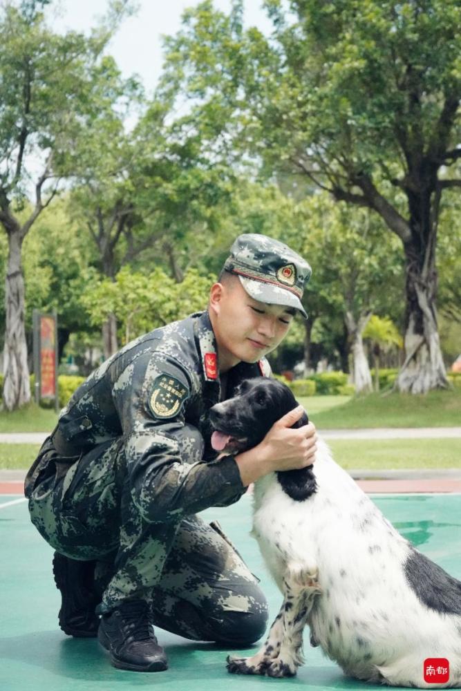 軍犬養成記士兵為其當月嫂經訓練幾秒就能搜出爆炸物