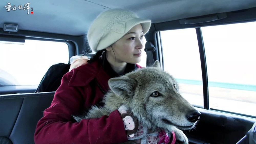 "中国第一狼女"李微漪:十年前卖房救狼,十年后与狼重逢太感动_腾讯