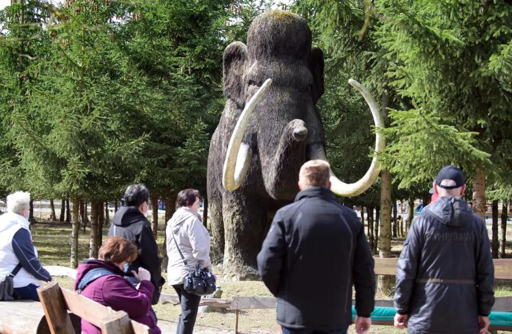 美国公司投资1亿"复活"猛犸象,引发科学家们的伦理和哲学讨论_腾讯