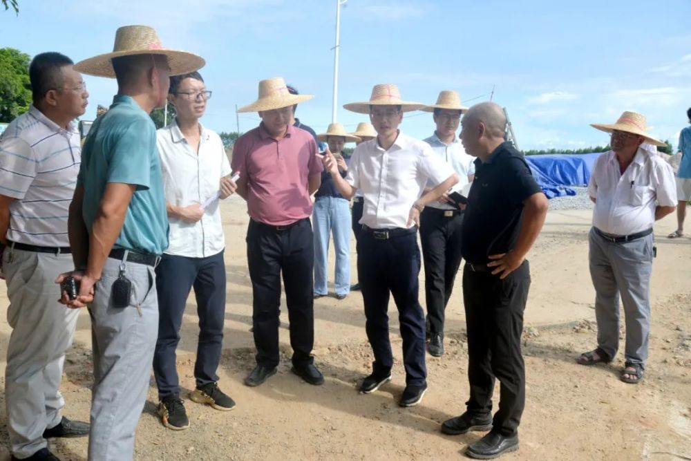 雷州市委副书记,市长黄廉东实地检查督办中央生态环保督察组交办案件