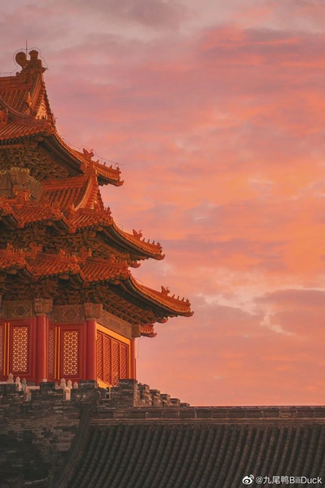 她把紫禁城的猫拍出了故事,这次又要拍100种故宫的色