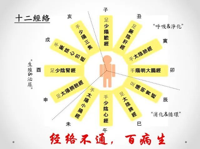 肝經不通血壓不穩心包經不通失眠多夢肝經不通