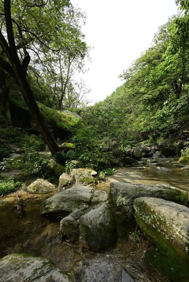 北京樱桃沟景区图片