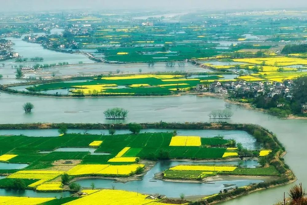 倒计时丨长三角g60科创走廊乡村旅游联盟第四次联席会议