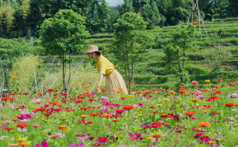 三,四月拍摄时间:清晨或者傍晚油菜花田这样拍,你也能拍出风景人物