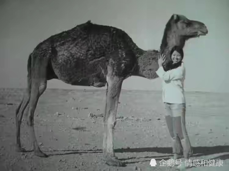 三毛的婚姻观 凡夫俗女望尘莫及 腾讯新闻