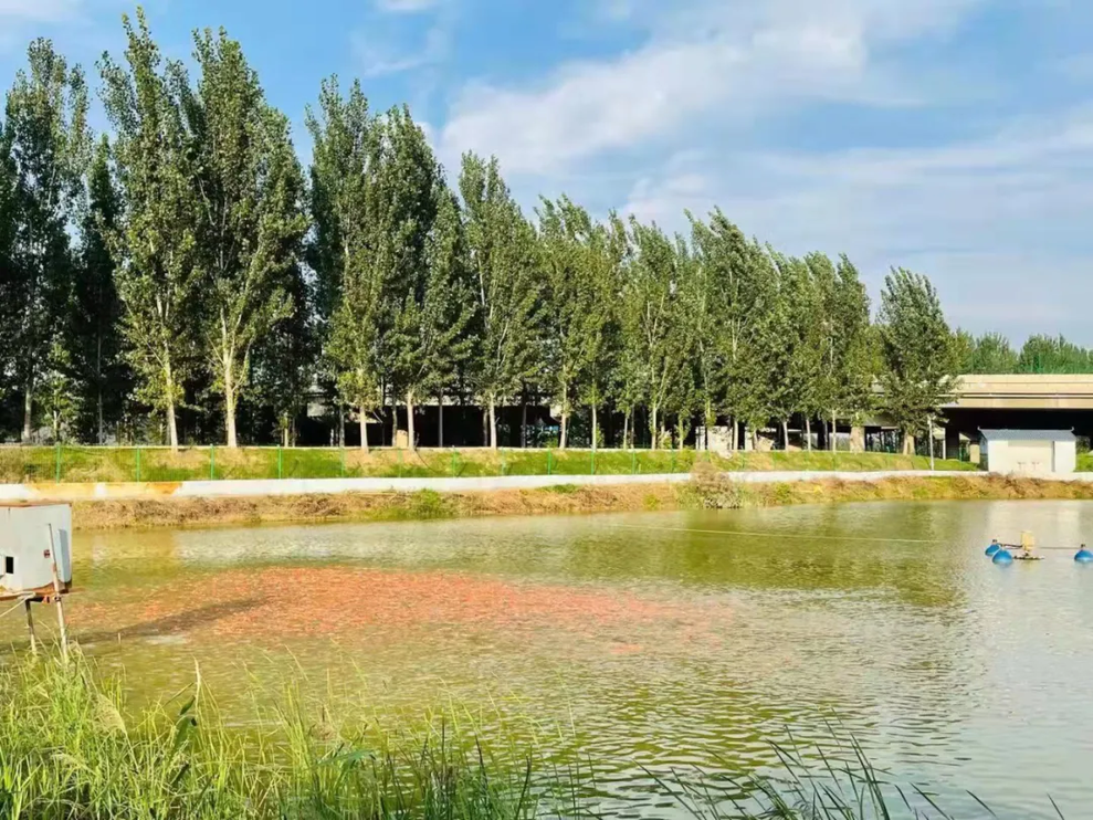 小康路上豫你乡遇金秋好风光相约醉美北堤村