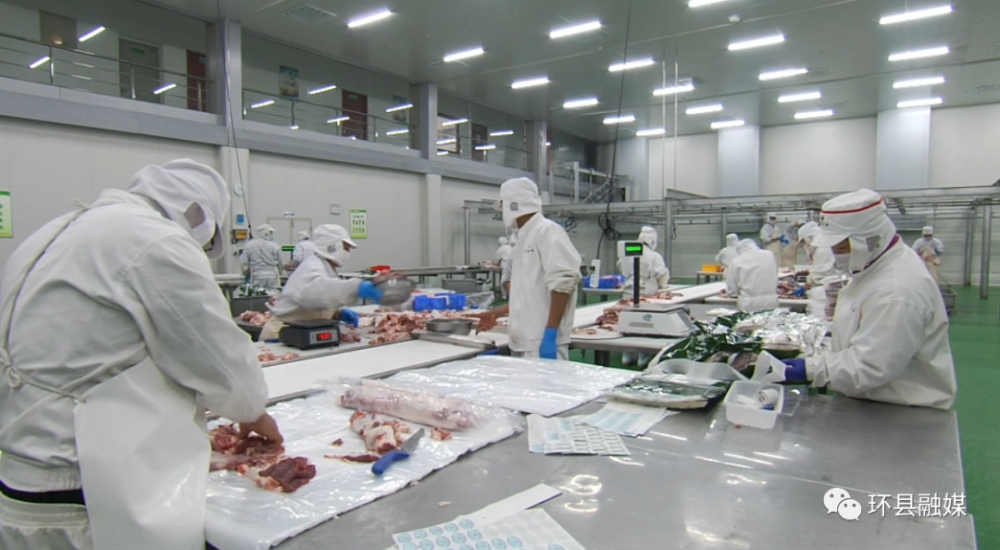 简讯环县中盛食品厂成为全县唯一定点屠宰企业