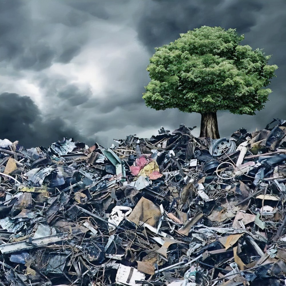 进口洋垃圾牟利污染环境必须付出代价