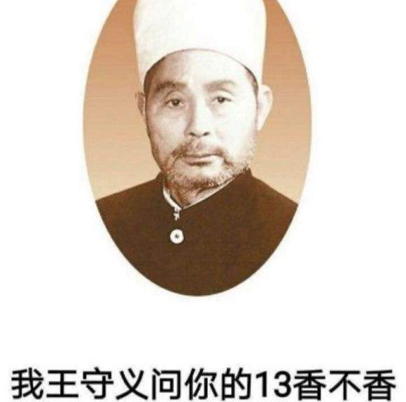 王守义十三香是一款调味品的名字,其风味收到了不少国人的喜爱.