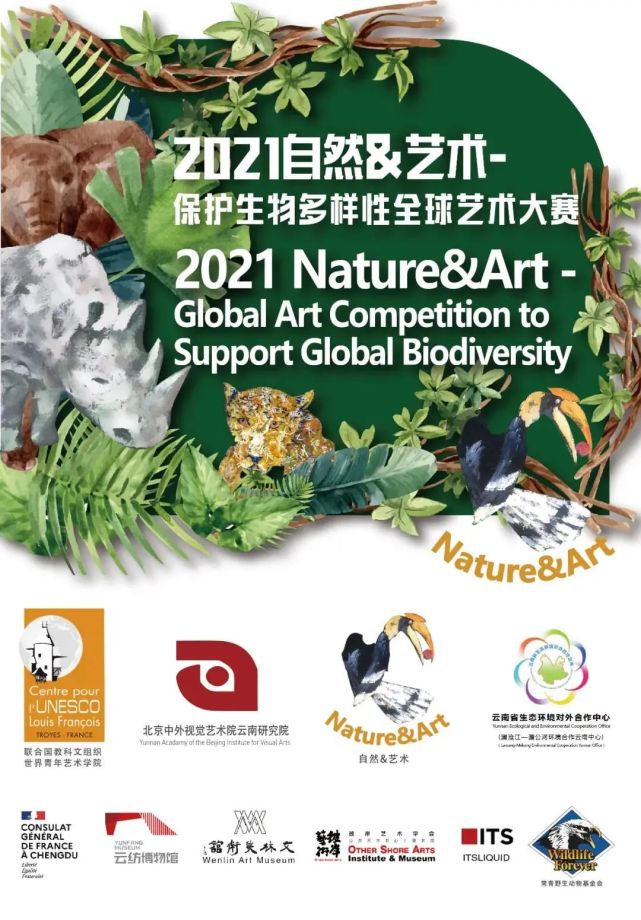 【cop15】用画笔创造另一个生物世界|生物多样性|绘画