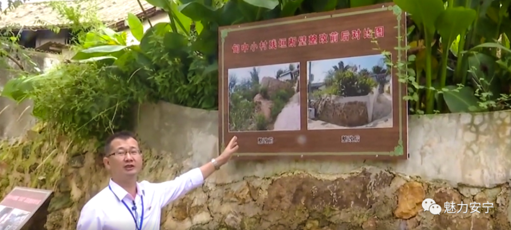 走进乡村看振兴 温泉街道甸中村 守好青山绿水 花开正当时 腾讯新闻