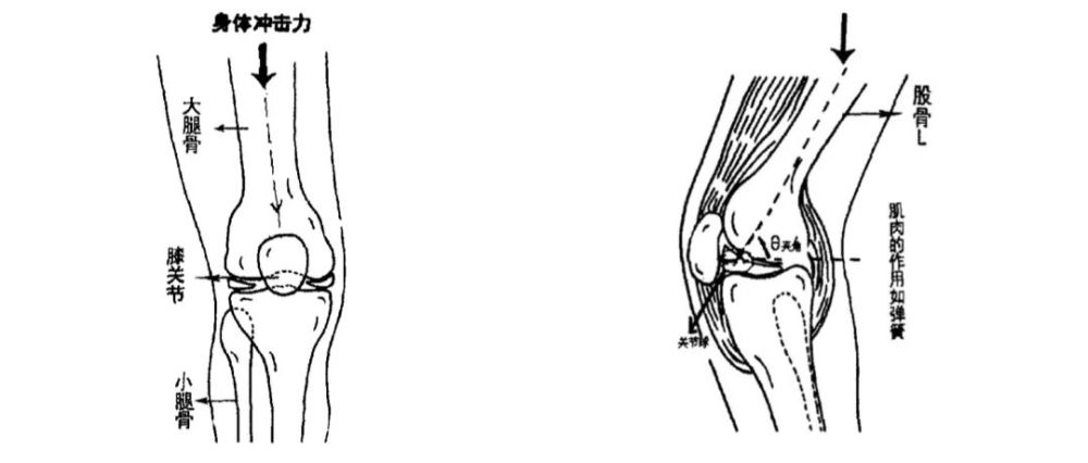 跑步伤膝盖这是真的吗