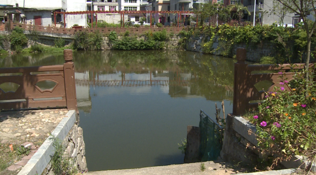 罗田县胜利镇大竹园村:以项目建设推动乡村振兴_腾讯新闻