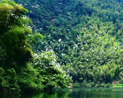 绥宁花园阁湿地公园图片