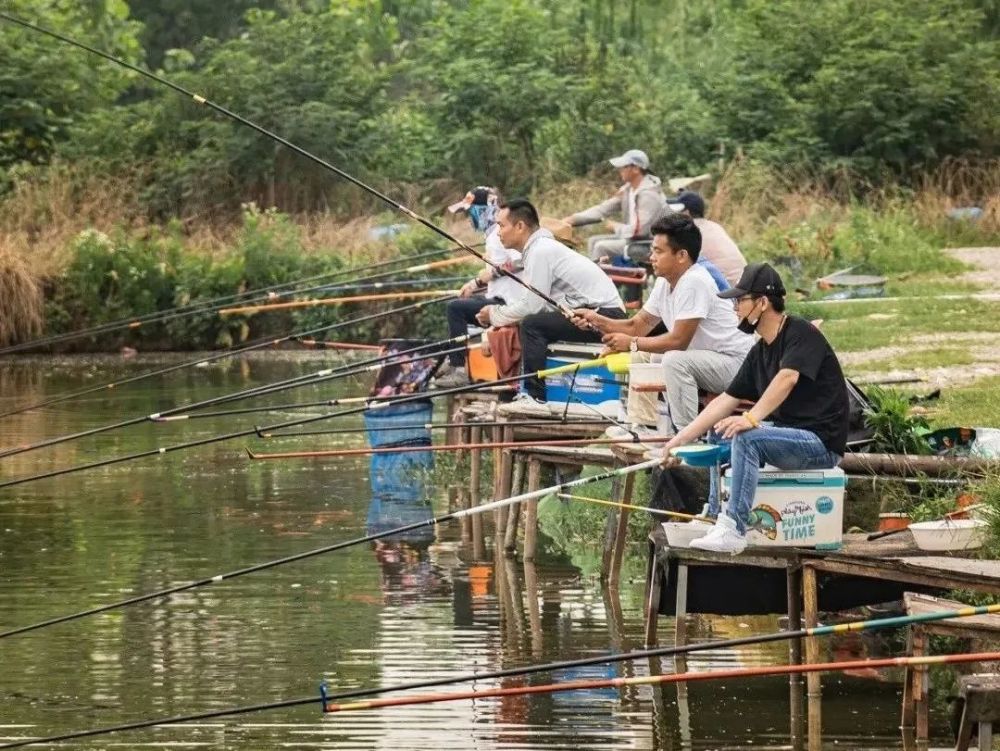 中国钓王排行榜_一场直播千万观看,让全网男人着魔的“中国钓王”火了