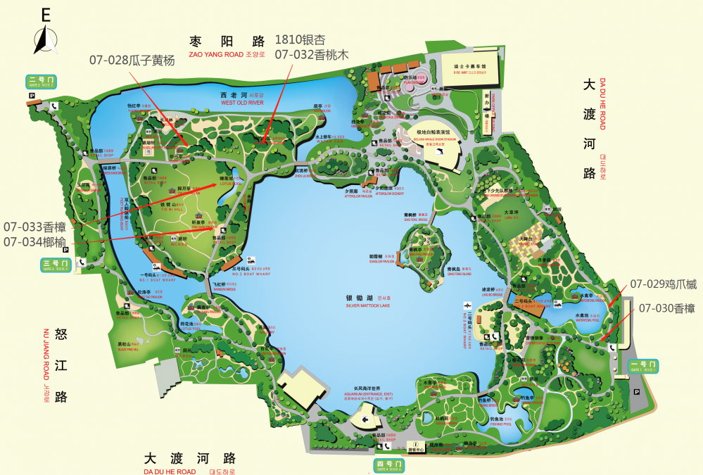 绿化大篷车丨长风公园古树导赏活动招募8组亲子家庭