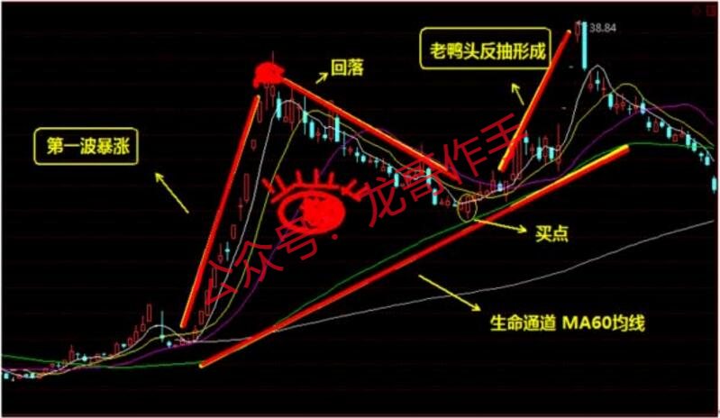 牛市經典戰法千金難買老鴨頭中線潛伏技術