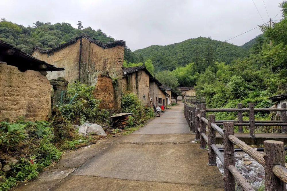 庆元村落|探寻吴氏宗祠记忆 赏高山湿地之神秘