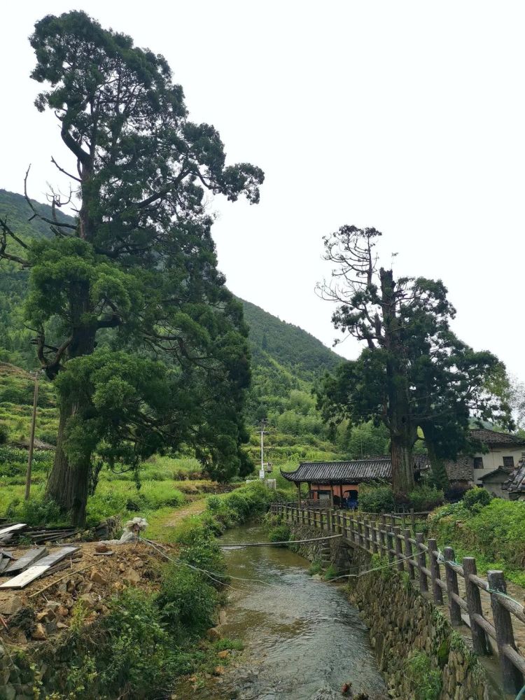 庆元村落|探寻吴氏宗祠记忆 赏高山湿地之神秘