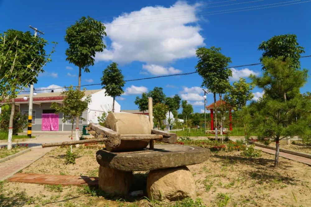 乡村振兴|三岔镇:绿了山川 红了日子