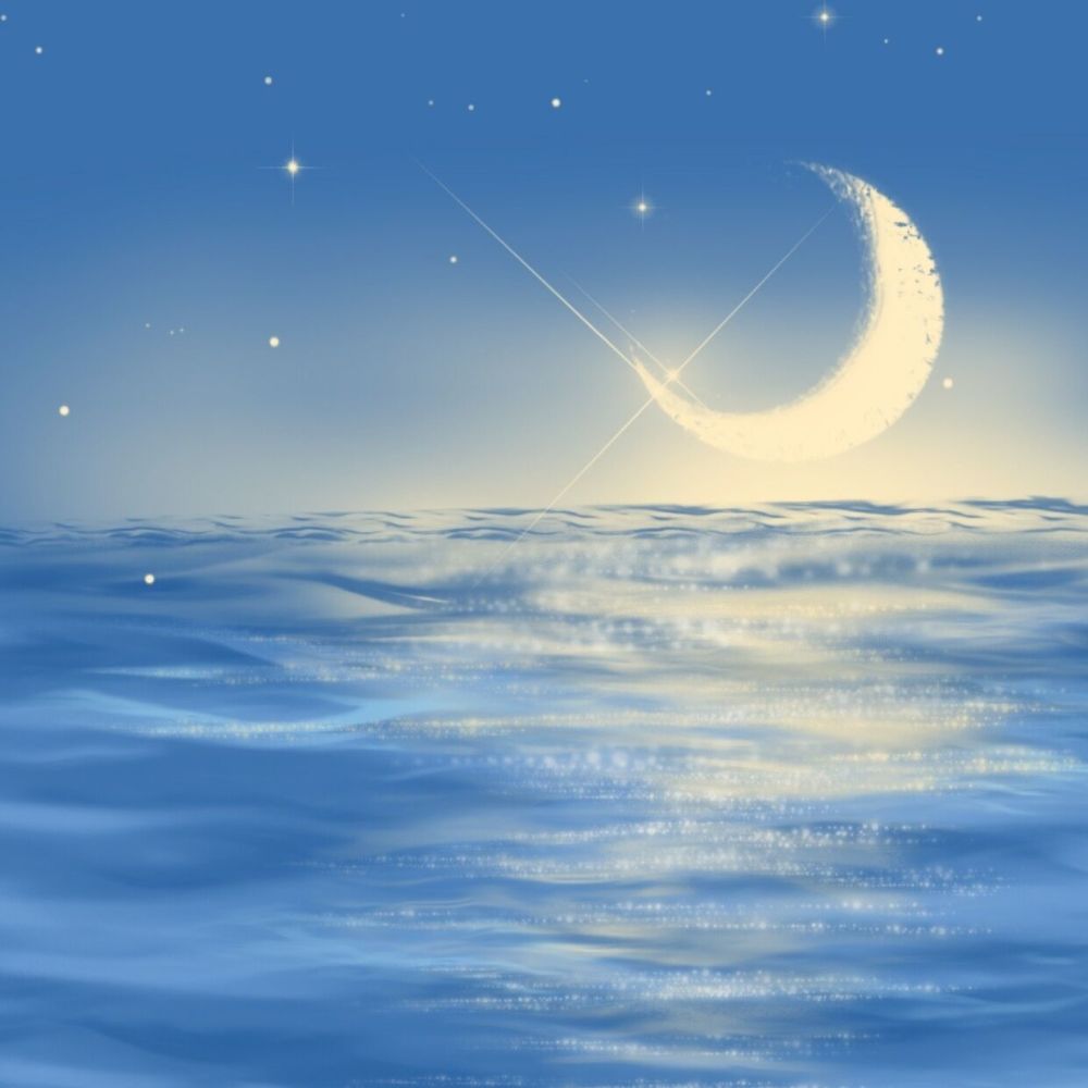 蓝色系背景图灵魂里萌发出淡淡的花