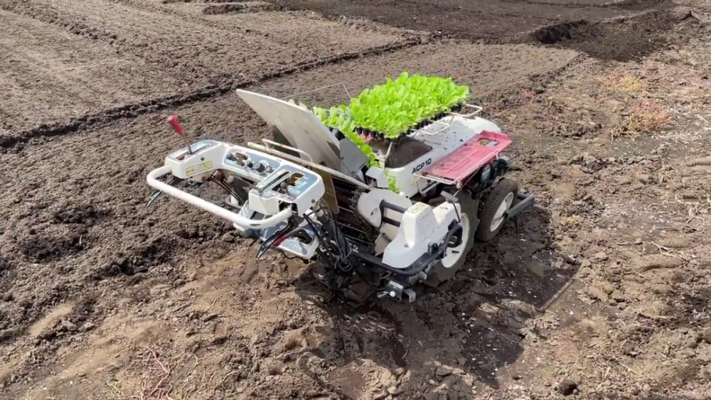 日本的全自动蔬菜移栽机种植方法很简单谁都可以学会