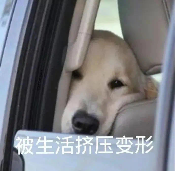 恶搞表情被生活挤压变形