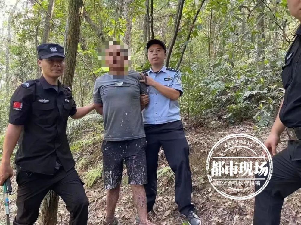 最新消息何某被抓获