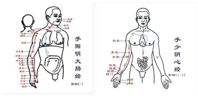 肥胖是身体出了问题!哪个部位胖,说明哪里有情况