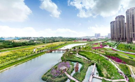 由于历史原因及城区空间所限,灌南县城新安镇大部分区域缺少公共绿地