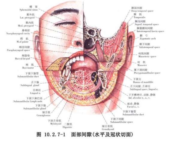 智齒拔了,盲袋會自己消嗎?_騰訊新聞