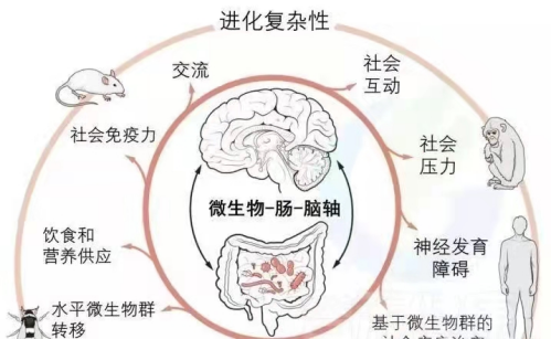 感冒喉咙有痰是什么原因造成的_感冒喉咙有点痰_感冒了喉咙痰多咋回事