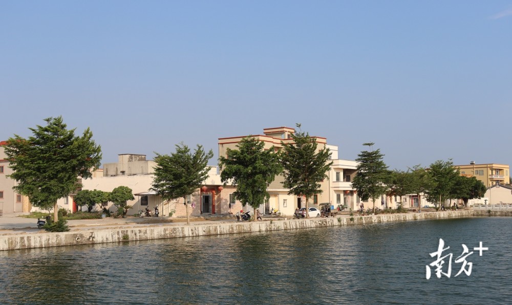 为"谷乡慢城"景观示范带代言陆丰也有个"上海滩",面朝南海乡村振兴